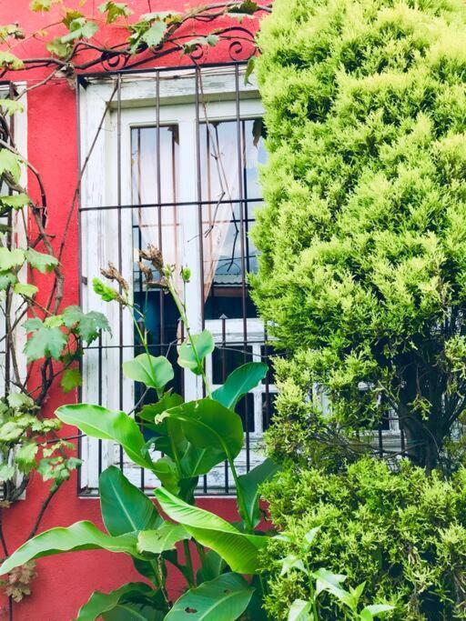 Casa I'X Apartman San Juan La Laguna Kültér fotó